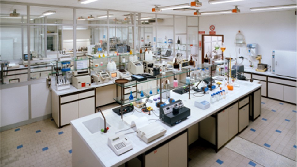 photo of a lab